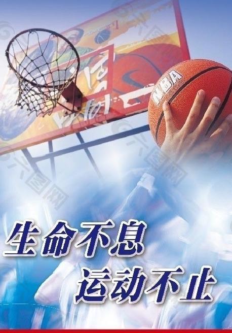 新星